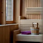 Hotel Holzhotel Forsthofalm Leogang