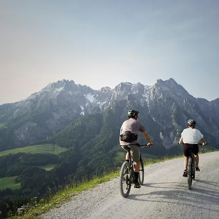 Hotel Holzhotel Forsthofalm